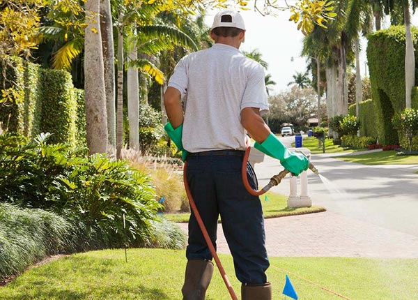 About Lupton AZ Pest Control